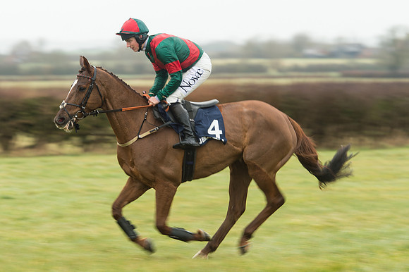 Race 4 - Rectricted Race (45 of 133).jpg