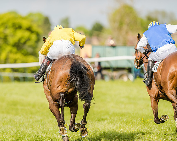Race 5 - Division 2 - Restricted Race (80 of 105).jpg