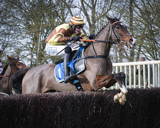 Race 1 - All Is True - Jack Andrews (26 of 38)