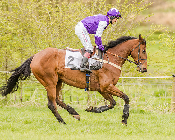 Race 2 - Open Maiden  (47 of 170).jpg