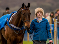 Race 1 - Confined Hunts (9 of 118).jpg