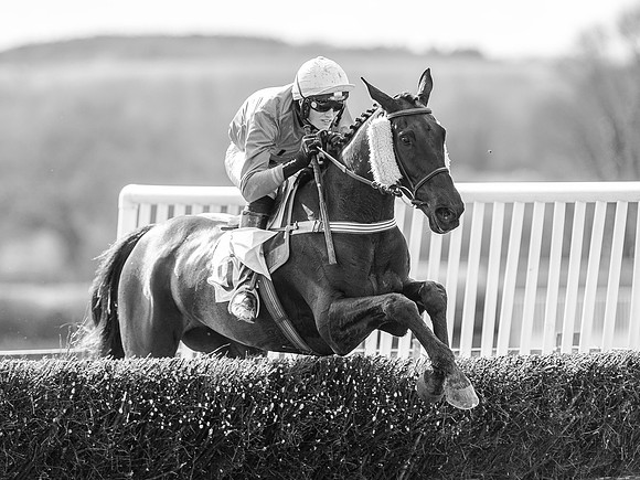 Race 5 - The Southern Grand national (52 of 96)-2.jpg