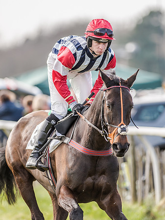 Race 4 - PPORA Club Members for Novice Riders (42 of 131).jpg