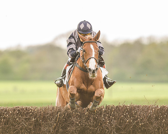 Race 7 - Hunt Members (80 of 106).jpg