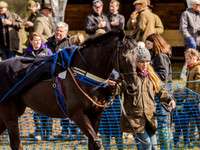 Race 5 - The Southern Grand national (7 of 96).jpg