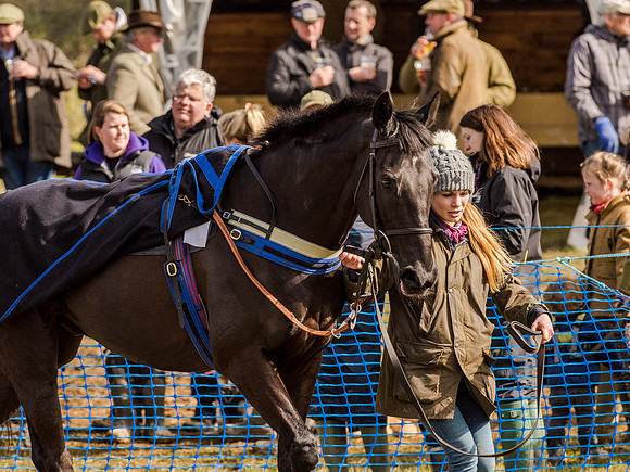 Race 5 - The Southern Grand national (7 of 96).jpg