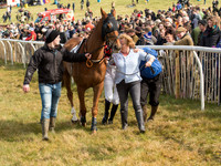 Race 2 - Confined Hunts Race (11 of 87).jpg