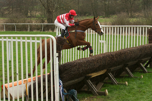 Race 5 - 34