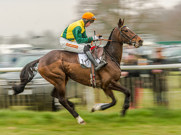 Race 5 - Open Maiden Division 2 (48 of 112).jpg