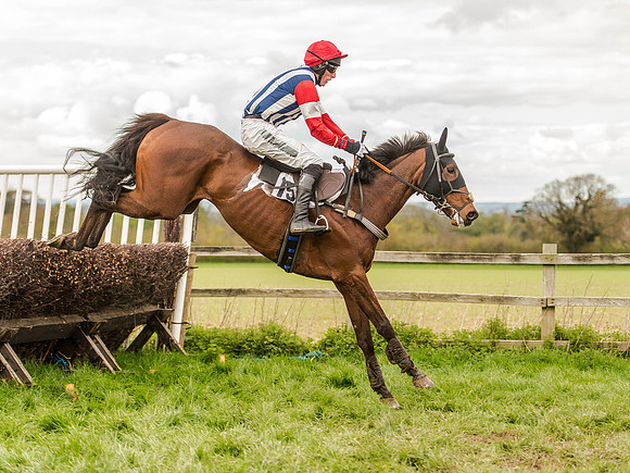 Race 3 - Young Horse maiden 2m5f (97 of 124).jpg