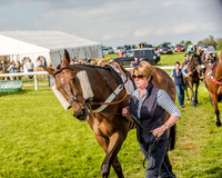 Race 6 - Open Maiden Race (1 of 176).jpg