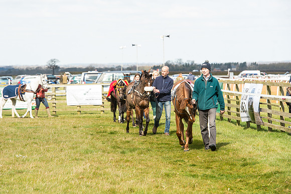 Pony Race 1 - 138cm -33