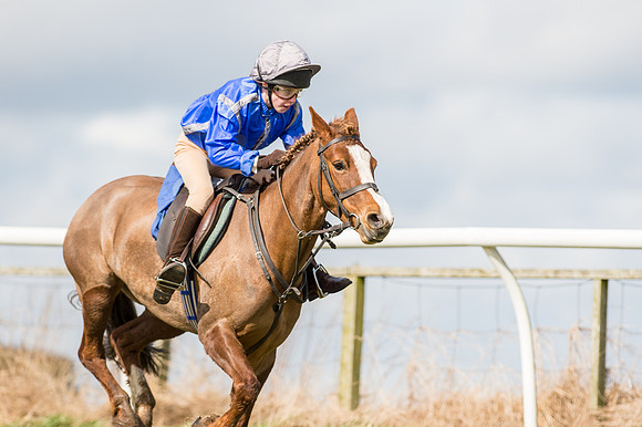 Pony Race 1 - 138cm  (42 of 57).jpg