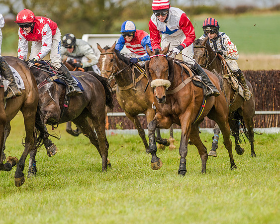 Race 5 - Open Maiden (100 of 147).jpg