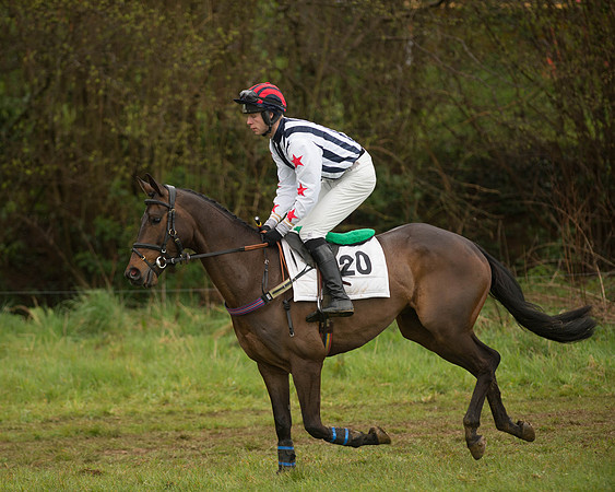 Race 5 - Open Maiden (53 of 147).jpg