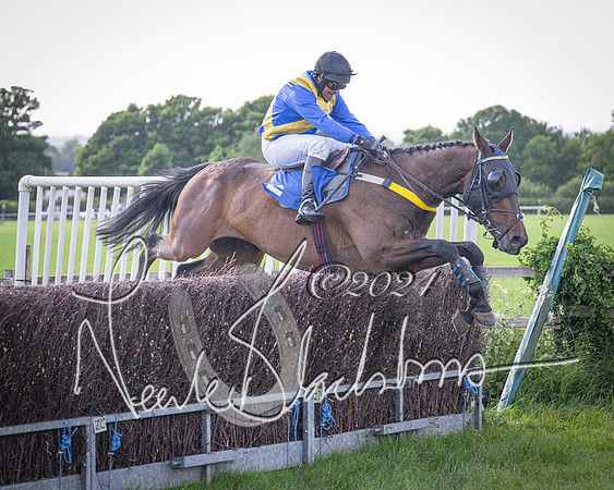 Race 6 - Thorn Plant Hire Maiden Race (100 of 129)