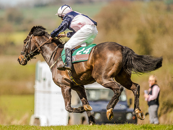 Pony Races (123 of 127).jpg