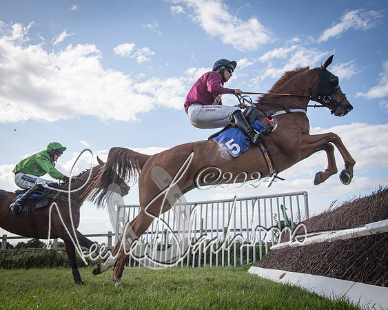 Race 6 - Thorn Plant Hire Maiden Race (96 of 129)