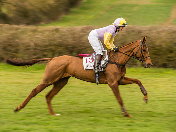 Race 6 - Open Maiden Division 1  (43 of 133).jpg