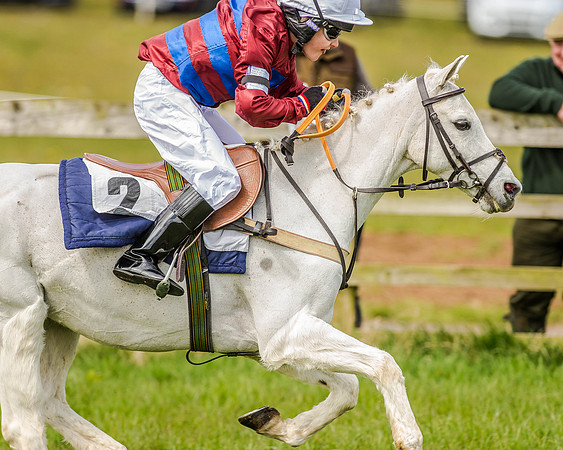 Pony Race 1  (58 of 65).jpg