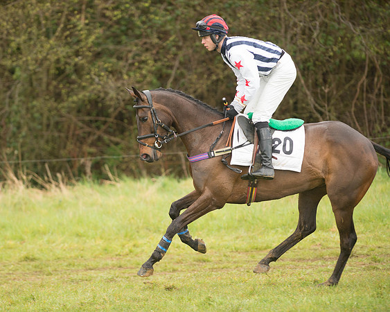 Race 5 - Open Maiden (55 of 147).jpg