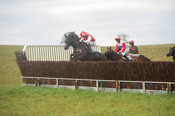 Race 5 - Open Maiden (86 of 147).jpg