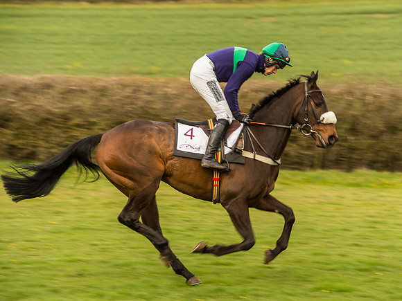 Race 6 - Open Maiden Division 1  (40 of 133).jpg