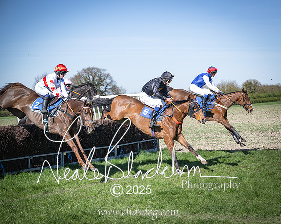 Race 6 - Veteran horse (63 of 109)