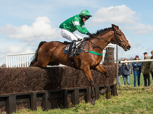 Race 2 - Confined Hunts Race (58 of 87).jpg