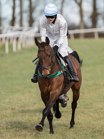 Race 5 - Restricted Race (48 of 120).jpg