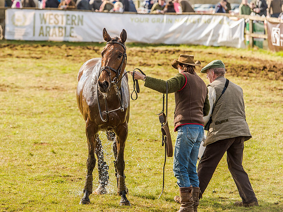 Race 6 - The Restricted Race [Nov-Vet] (77 of 84).jpg
