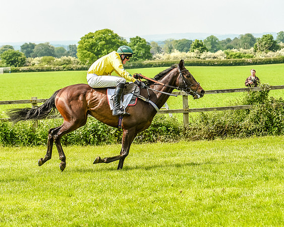 Race 3 - The Intermediate Race (79 of 97).jpg