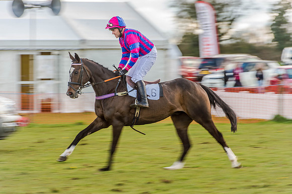 Race 6 - The Restricted Race [Nov-Vet] (33 of 84).jpg