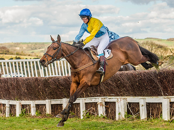 Race 6 - The Restricted Race [Nov-Vet] (44 of 84).jpg