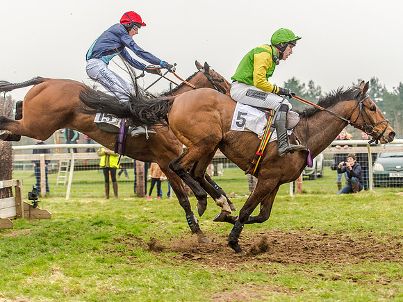 Race 5 - Open Maiden Division 2 (95 of 112).jpg