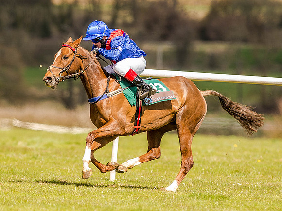 Pony Races (66 of 127).jpg