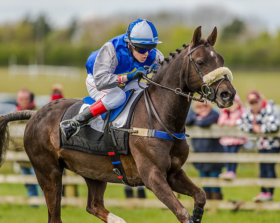 Pony Race 2 (67 of 77).jpg