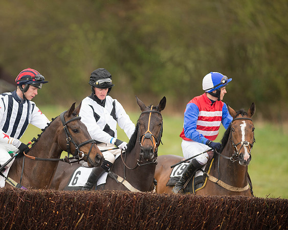 Race 5 - Open Maiden (75 of 147).jpg