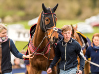 Race 6 - Open Maiden Division 1  (14 of 133).jpg