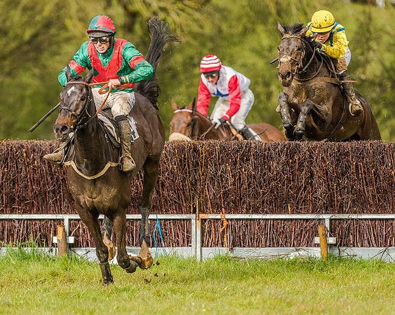 Race 5 - Open Maiden (108 of 147).jpg
