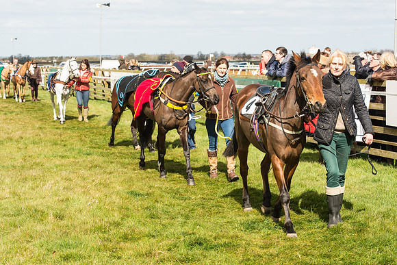 Pony Race 1 - 138cm -37