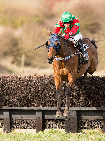 Race 3 - Mixed Open race (45 of 76).jpg