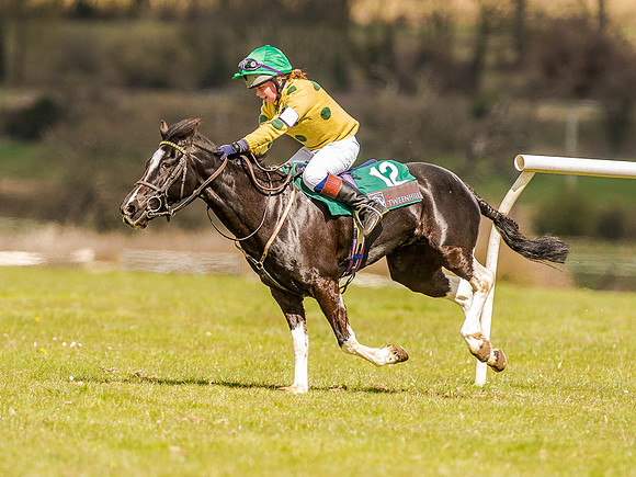 Pony Races (74 of 127).jpg