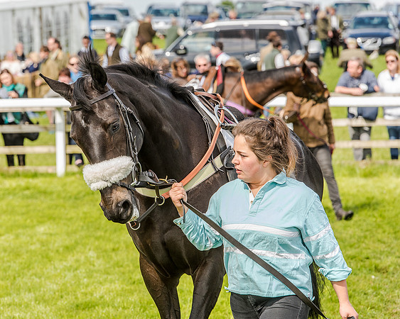 Race 4 - PPORA Novice Riders (36 of 196).jpg