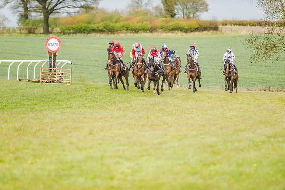 Race 5 - Open Maiden (82 of 147).jpg