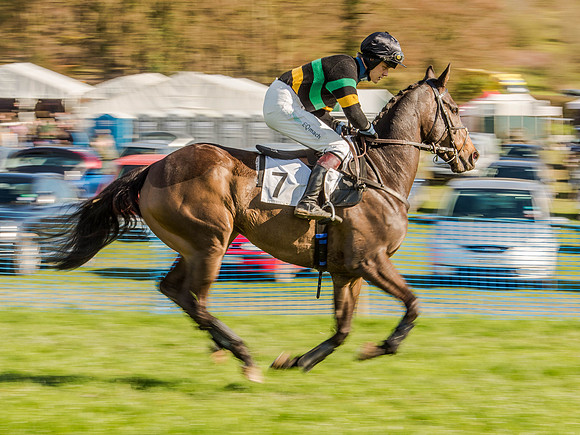 Race 6 - The Open Maiden (28 of 122).jpg