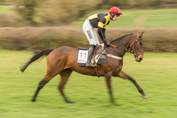Race 7 - Open Maiden Division 2  (40 of 106).jpg