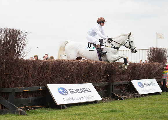 Race 6 - Confined Hunts-35