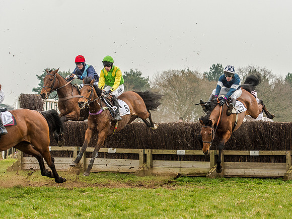 Race 5 - Open Maiden Division 2 (64 of 112).jpg