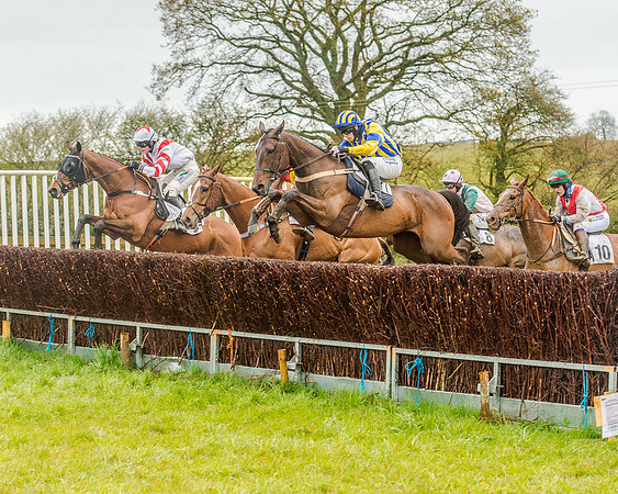 Race 5 - Restricted Race (77 of 146).jpg